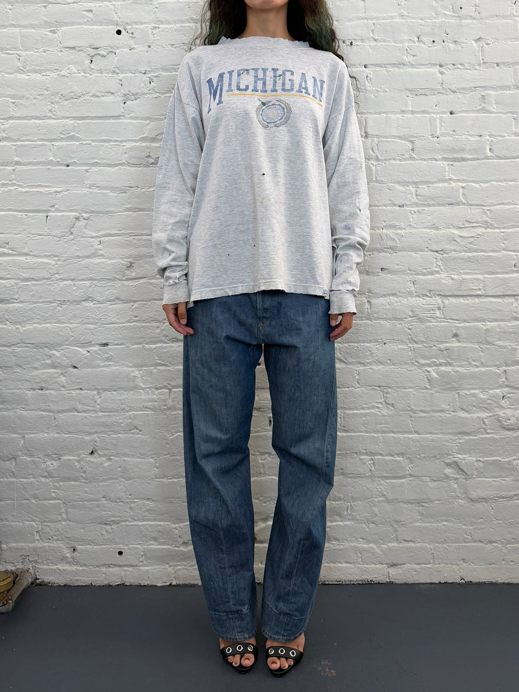 Vintage Gear Michigan Distressed L/S T-Shirt